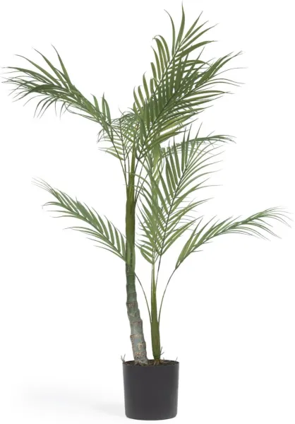 Palmera, Pianta artificiale, nera, H70x70x60 cm