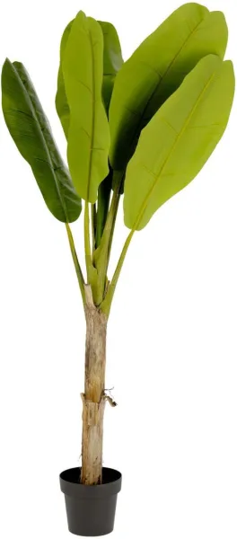 Banano, Pianta artificiale, verde/nero, H160x90x90 cm