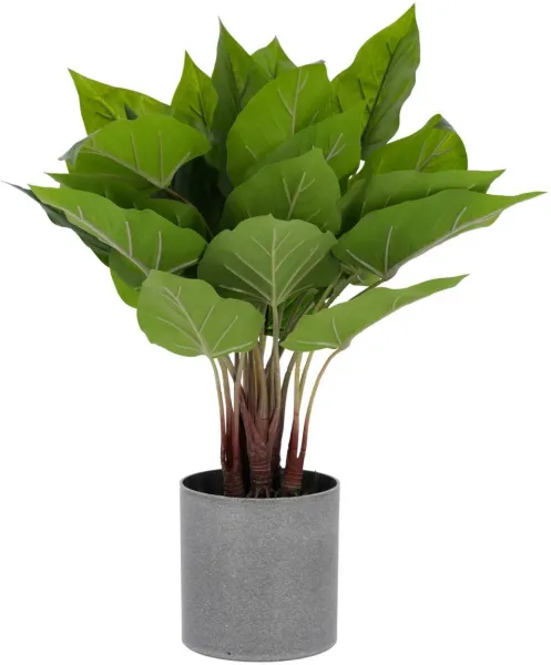 Anthurium, Pianta artificiale, verde/grigio, H50x40x40 cm