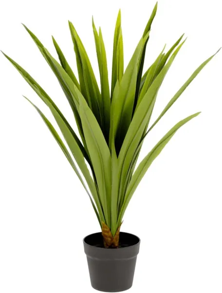 Yucca, Pianta artificiale, verde/nero, H80x60x60 cm