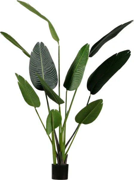 Strelitzia, Pianta artificiale, verde, H164x96x63 cm