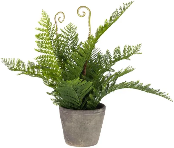 Filicopsida, Pianta artificiale, verde/grigio, H35x40x40 cm