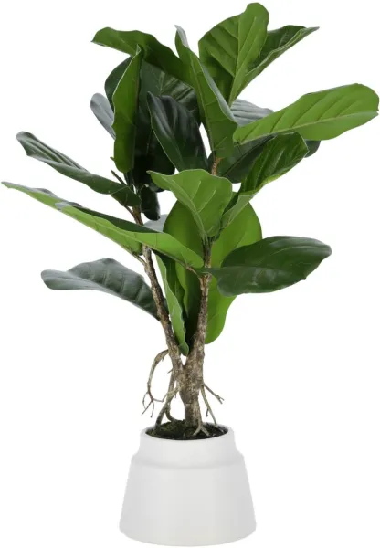 Lyrata, Pianta artificiale, verde/bianco, H60x30x30 cm