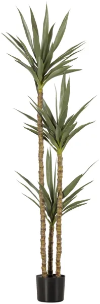Yucca, Pianta artificiale, verde, H155x70x70 cm