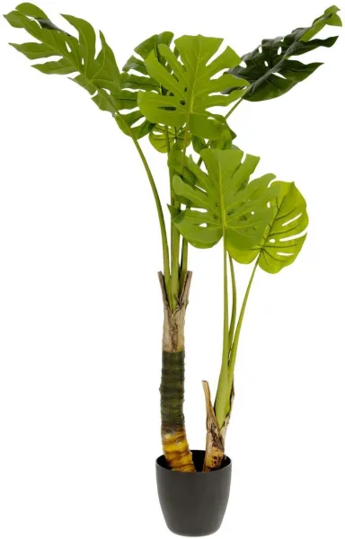 Monstera, Pianta artificiale, verde/nero, H130x60x60 cm
