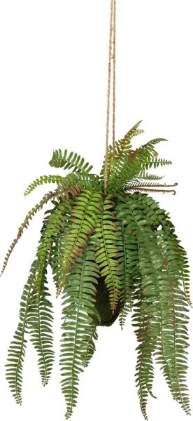 Felce, Pianta artificiale, verde, H58x30x30 cm